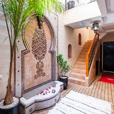 Riad Elite-3